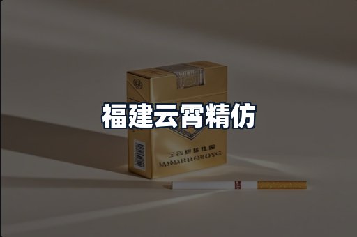 福建云霄精仿